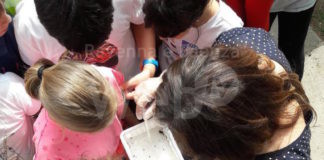 Unione: piccoli entomologi alla scoperta di insetti per contrastare al zanzara tigre