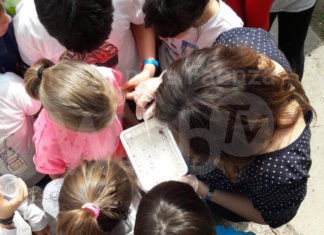 Unione: piccoli entomologi alla scoperta di insetti per contrastare al zanzara tigre