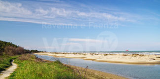Lido di Classe, Festival Naturae: escursione guidata nella Riserva Naturale Statale e alla foce del Bevano