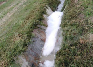 Coldiretti: siccità, nel Fosso Vecchio l’acqua c’è ma gli agricoltori non possono utilizzarla per irrigare