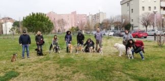 Lista per Ravenna: Lunedì si discute in comune la petizione sull’accesso dei cani nei negozi, bar e ristoranti