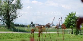 Barbiano: un bando per food truck al Parco “Domenico Conti”