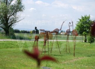 Barbiano: un bando per food truck al Parco “Domenico Conti”