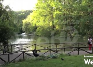 Parco Bucci e Parco della Rocca: pubblicato il bando per la nuova gestione