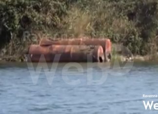 Chiusura Piallassa Baiona, assessore Baroncini: “Bonifica non più pronosticabile dopo il rinvio a causa del covid”