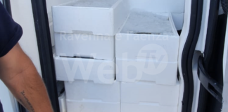 Guardia Costiera: sequestrata oltre una tonnellata e mezzo di prodotti ittici destinati all’export ed irrogate sanzioni per 8mila euro