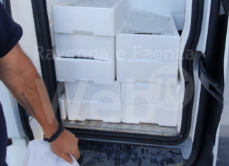 Guardia Costiera: sequestrata oltre una tonnellata e mezzo di prodotti ittici destinati all’export ed irrogate sanzioni per 8mila euro