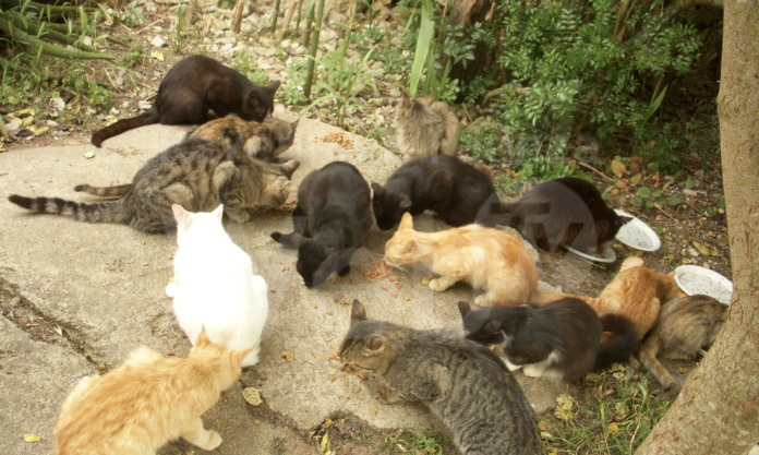 Schermata 2020-07-02 alle 14.29.47