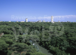 Al via il Concorso internazionale di Progettazione per il nuovo Parco Urbano di Cervia