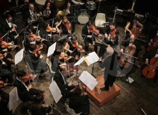 Un concerto per la pineta di Milano Marittima devastata dalla tromba d’aria dello scorso anno