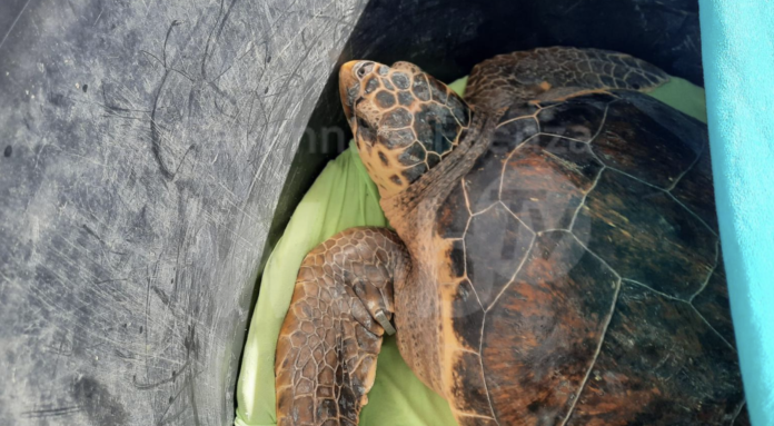 Schermata 2020-07-09 alle 14.19.48