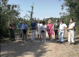 Donazioni e nuovi alberi per la rinascita della pineta di Milano Marittima