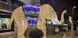 Anche quest’estate il centro di Milano Marittima sarà illuminato grazie all’iniziativa Central Zoo Light