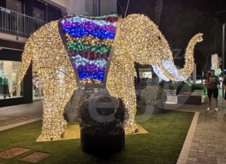 Anche quest’estate il centro di Milano Marittima sarà illuminato grazie all’iniziativa Central Zoo Light