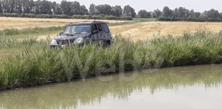 Ancisi (LpRa): “In cattive acque anche Punte Alberete, mala gestione del livello idrico”