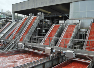 Campagna del pomodoro al via. In provincia di Ravenna si coltivano 1988 ettari