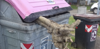 Legambiente: “Raccolta differenziata nella Bassa Romagna, tutti i comuni sono al di sotto degli obiettivi del piano regionale”