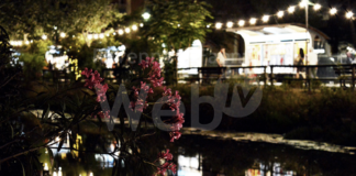 Milano Marittima: un agosto ricco di appuntamenti all’interno del Vialetto degli Artisti