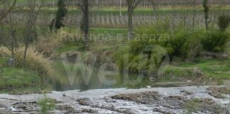 Cadavere di pescatore imolese recuperato nel fiume Senio a Tebano