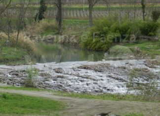Cadavere di pescatore imolese recuperato nel fiume Senio a Tebano