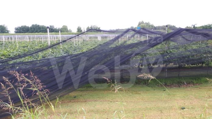 e1ade836-3827-4ded-8939-04b2d5780273