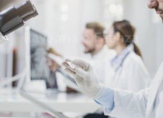 La frutta di Ravenna fa bene alla salute e alla ricerca: al Mercato di Campagna Amica arrivano i volontari AIRC