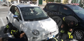 Volontari Enpa, operatori del Cinoservizio e Vigili del Fuoco salvano un gattino nascosto nel motore di un’auto