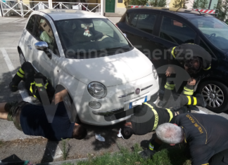 Volontari Enpa, operatori del Cinoservizio e Vigili del Fuoco salvano un gattino nascosto nel motore di un’auto