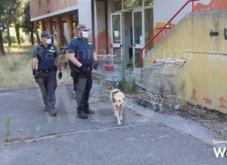 Sorpresi sei cittadini stranieri all’interno dell’ex ostello: avevano occupato abusivamente la struttura per trovare rifugio