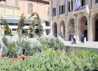 Rinnovate le fioriere di Piazza della Libertà a Bagnacavallo