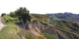 Alessio Grillini (Italia Viva): “l’area di Castel Raniero è il ritrovo, il rifugio verde dei faentini”