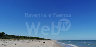 A Lido di Classe pulizia della spiaggia della Riserva del Bevano dopo la nidificazione