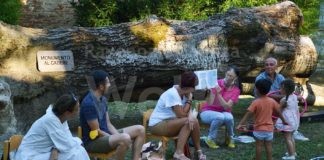 Bagnacavallo: Festeggiato il primo compleanno del Monumento al cadere