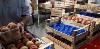 A Massa Lombarda per gustare la pesca “Buco incavato”