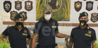 GDF Ra: Arrestati padre e figlio per il possesso di sostanze stupefacenti e munizioni da guerra