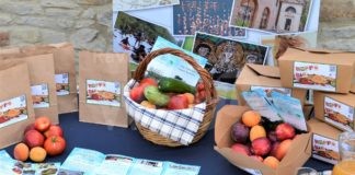 Confcommercio: Happy Bio con stuzzicante “frutta box”, raccontare di una sana alimentazione con una nuova formula
