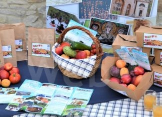 Confcommercio: Happy Bio con stuzzicante “frutta box”, raccontare di una sana alimentazione con una nuova formula