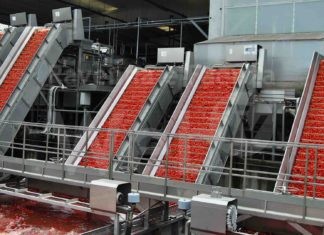 Pomodoro: raccolto il 38% del contrattato al Nord. Clima “insolito” accelera la maturazione