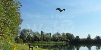 Unione: nascono i nuovi “Green influencer”, mercoledì la giornata di formazione al Parco Pertini