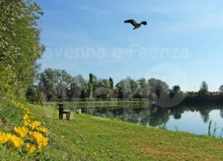 Unione: nascono i nuovi “Green influencer”, mercoledì la giornata di formazione al Parco Pertini