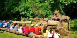 Bagnacavallo: “Verde brillante”, un festival per i bambini lungo un mese