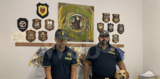 Cane antidroga segnala un pusher appena sceso dal treno: spacciatore finisce in carcere