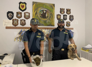 Cane antidroga segnala un pusher appena sceso dal treno: spacciatore finisce in carcere