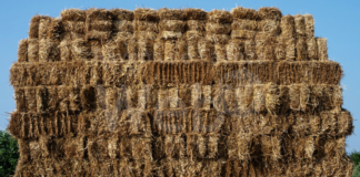 Folletti e spiriti di paglia a Cotignola, gli appuntamenti d’agosto di Primola