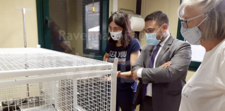 Il sindaco di Lugo visita l’infermeria felina di Bizzuno
