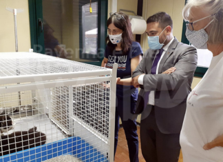 Il sindaco di Lugo visita l’infermeria felina di Bizzuno