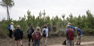 Dopo la Pink Week, proseguono gli appuntamenti con le visite guidate ai monumenti e agli ambienti naturali di Ravenna