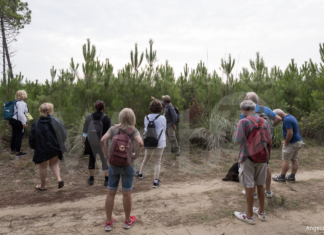 Dopo la Pink Week, proseguono gli appuntamenti con le visite guidate ai monumenti e agli ambienti naturali di Ravenna