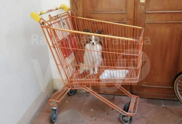 Schermata 2020-08-12 alle 13.43.07