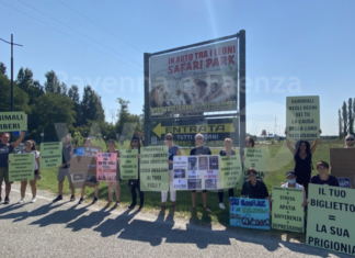 Zoo Safari: concluso il primo presidio di protesta degli animalisti di fronte alla struttura